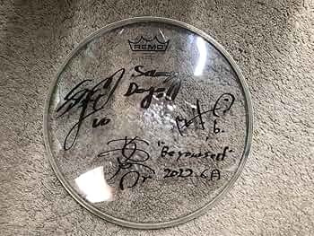 71yZzv9e+AL._AC_UF350,